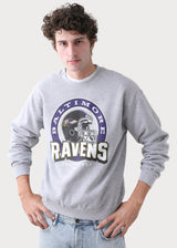 Baltimore Ravens Junk Food Backfield Crewneck